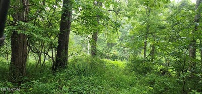 /international/us/rockhouse-creek-church-rd-pioneer-tn-110120037583/