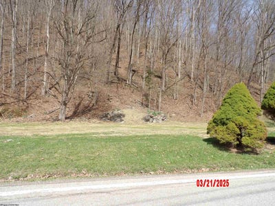 /international/us/2511-chenoweth-creek-road-elkins-wv-110105000657/