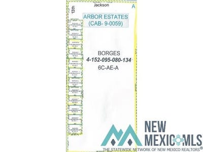 /international/us/lot-9-13th-rural-artesia-nm-110101349460/?lang=zh-tw