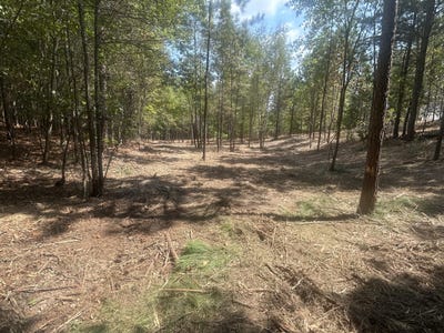 /international/us/13-stonechase-lane-cohutta-ga-110102267986/