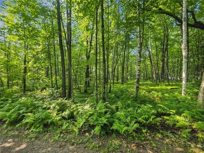 /international/us/28017-303rd-place-aitkin-mn-110101150429/