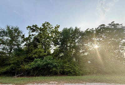 /international/us/550-county-road-268-newville-al-110100844568/?lang=fr