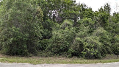 /international/us/00-se-23rd-lane-trenton-fl-110098564510/