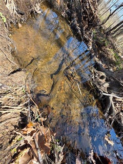 /international/us/mountain-springs-rd-lot-1-compton-ar-110107883229/