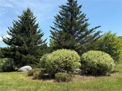 /international/us/6111-aylesbury-path-lot-303-manlius-ny-110101290135/?lang=zh-tw