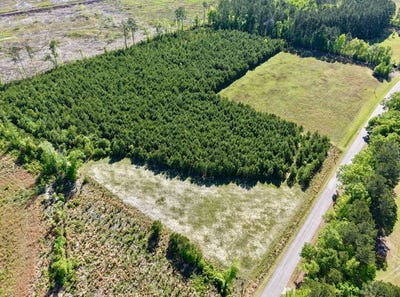 /international/us/tbd-moselle-road-islandton-sc-110099019825/