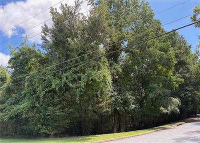 /international/us/00-old-canton-road-ne-marietta-ga-110101024218/