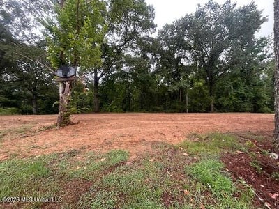 /international/us/2347-attala-road-4112-sallis-ms-110108876714/
