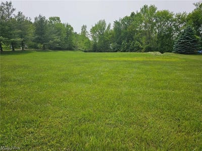 /international/us/7-tami-court-cortland-oh-110105776784/