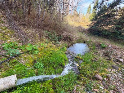 /international/us/4224-grouse-creek-rd-loon-lake-wa-110107700901/