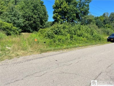 /international/us/mead-road-busti-ny-110101120195/