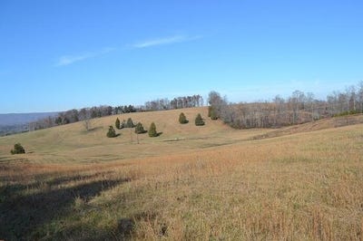 /international/us/90-ac-old-rhea-springs-road-spring-city-tn-110094253418/