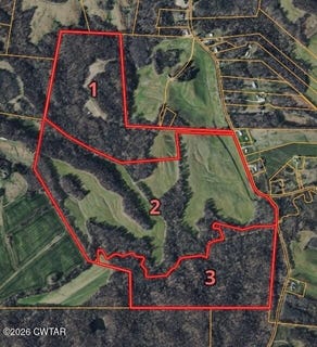 /international/us/girl-scout-road-burlison-tn-110108440957/