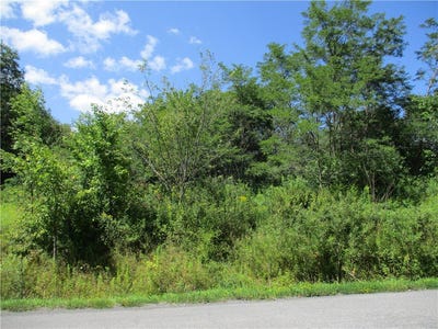 /international/us/daniels-road-south-plymouth-ny-110119648548/