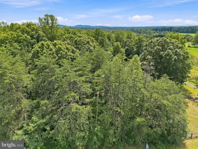 /international/us/kirtley-trl-culpeper-va-110108883287/