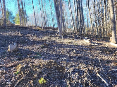 /international/us/tbd-muskrat-ramble-road-mountain-city-tn-110097810210/