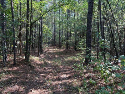 /international/us/0-county-rd-227-tiplersville-ms-110107266642/