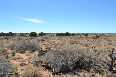 /international/us/lot-020g-e-24th-n-street-snowflake-az-110099014856/