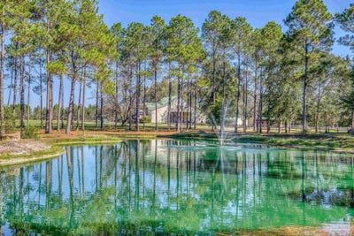 /international/us/1650-bear-bay-flats-rd-laurel-hill-fl-110104605386/