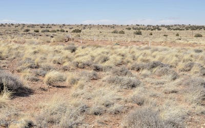 /international/us/8037-uttecht-trail-snowflake-az-110097492738/