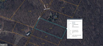 /international/us/spring-dr-lot-8b-berkeley-springs-wv-110097928649/?lang=zh-tw