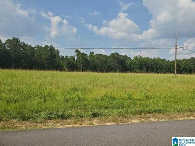 /international/us/440-fox-valley-farms-road-lot-4-maylene-al-110108504939/