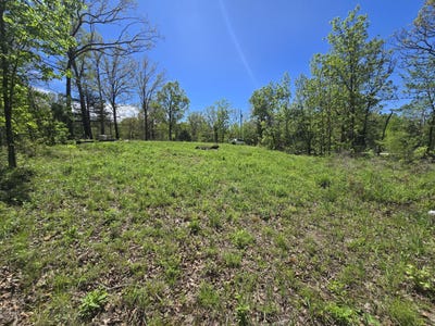 /international/us/24803-county-road-294-urbana-mo-110107418433/