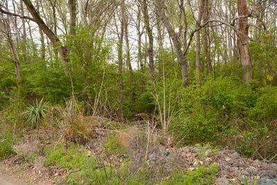 /international/us/2205-east-willow-street-scottsboro-al-110091349336/?lang=zh-tw