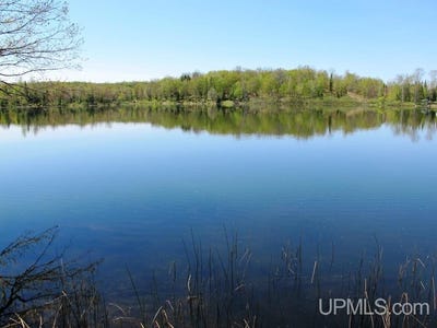 /international/us/stateline-trail-marenisco-mi-110093375499/