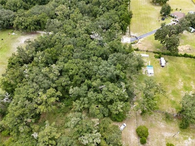 /international/us/19930-se-31st-street-morriston-fl-110101483111/