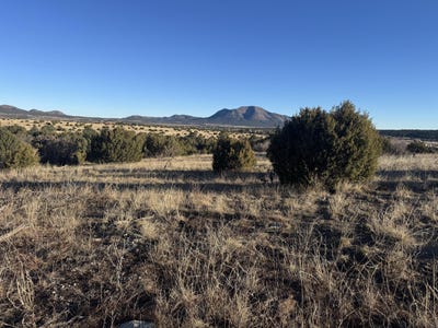 /international/us/19-bolivar-loop-tijeras-nm-110104175191/