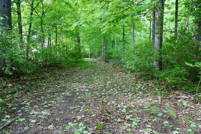 /international/us/1131-us-rt-22-3-hamilton-twp-oh-110099065280/
