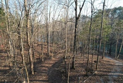 /international/us/lot-57-shoreside-at-sipsey-double-springs-al-110082933017/
