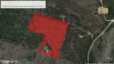 /international/us/204-county-road-3055-nauvoo-al-110105794538/