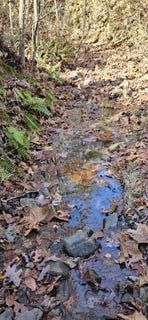 /international/us/0-orange-ln-troutville-va-110098240542/?lang=zh-cn