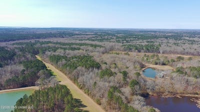 /international/us/ratliff-ferry-road-canton-ms-110104192153/