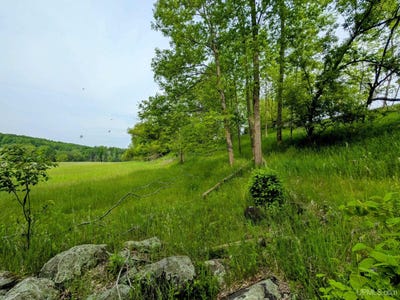 /international/us/w-3173-swede-settlement-vulcan-mi-110100745715/?lang=en