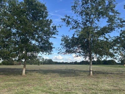 /international/us/0-old-van-vleck-rd-tract-1-van-vleck-tx-110100453162/?lang=zh-tw