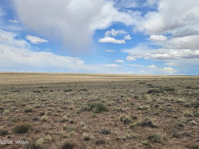 /international/us/summer-road-sun-valley-az-110108450838/
