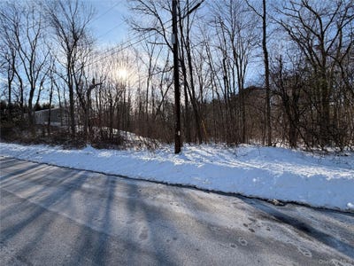 /international/us/11-white-birch-road-hyde-park-ny-110105316479/