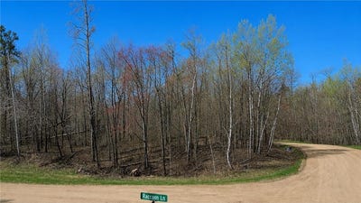 /international/us/tbd-flower-trail-breezy-point-mn-110107868942/