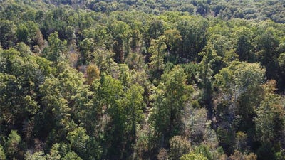 /international/us/16426-stone-ridge-road-potosi-mo-110095156403/