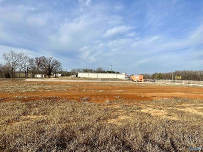 /international/us/0048-alabama-highway-24-mount-hope-al-110089406468/?lang=zh-cn