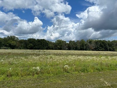 /international/us/lot-1-blackstone-trail-eleva-wi-110097228285/?lang=en