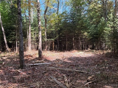 /international/us/beaver-trail-lot-1-alder-creek-ny-110095931743/