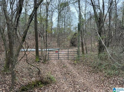 /international/us/32-n-county-road-lot-1-marbury-al-110110126870/