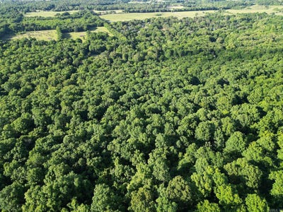 /international/us/whiskey-creek-lane-batesville-ar-110108297925/