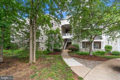 /international/us/1700-lake-shore-crest-drive-reston-va-110108280219/