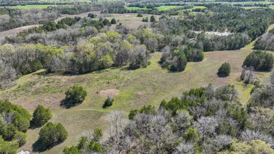 /international/us/0-hwy-80-e-gallion-al-110106368043/