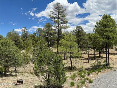 /international/us/3337-sawmill-ridge-loop-heber-az-110092456848/